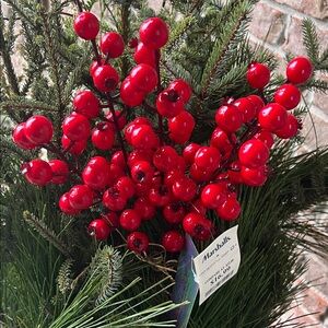 NWT RACHEL ZOE Set of Red Berry Floral Picks